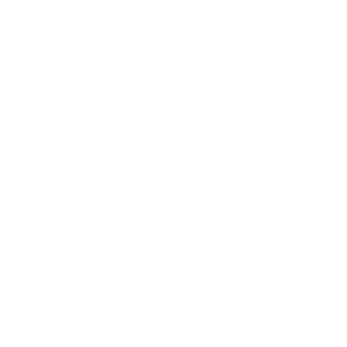 Company's logo
